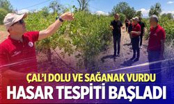 İl Müdürü Mustafa Nevzat Zayim sahaya indi! Çal'da hasar tespit mesaisi