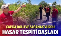 İl Müdürü Mustafa Nevzat Zayim sahaya indi! Çal'da hasar tespit mesaisi