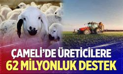 Çameli’de üreticilere 62 milyonluk destek