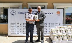 Üreticiye Çameli fasulyesi tohumu desteği