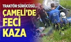 Çameli'de feci kaza