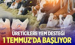 Çardaklı üreticilere yem desteği 1 temmuz'da başlıyor