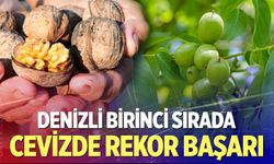 Denizli,ceviz üretiminde Türkiye’nin zirvesinde