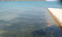 Didim’in deniz suyu kalitesi dikkat çekti