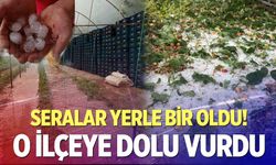 Üreticinin kabusu dolu yağışı oldu