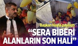 Kale’de biber tartışması büyüyor; Başkan Hayla sosyal medyadan paylaştı