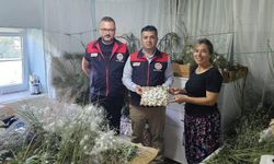 İpek Böcekçiliği Yeniden Canlanıyor