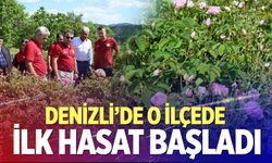 Çardak’ta gül hasadı heyecanı başladı