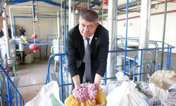 Isparta Gül Yağının Kilogramı 12 Bin Avro!