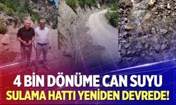 Hisar’da sulama hattı yeniden devrede
