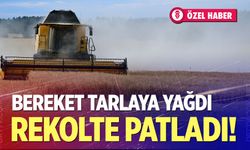 Hububatta verim rekoru, fiyatta hayal kırıklığı