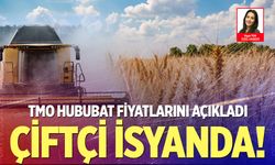 Çiftçinin Korktuğu Başına Geldi! TMO fiyatları beklentilerin çok altında kaldı