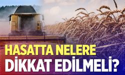 Denizli’de hububat hasadı başladı: Ekipler sahada, çiftçilere kritik uyarılar