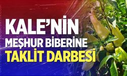 Kale'nin meşhur biberine taklit darbesi!