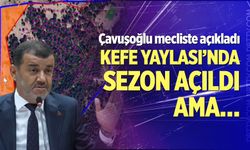 Kefe Yaylası'nda sezon açıldı ama...