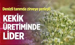 Denizli,kekik üretiminde Türkiye’nin zirvesinde