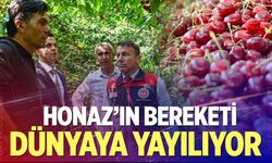 Honaz’ın bereketi dünyaya yayılıyor