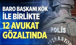 Denizli Barosu Başkanı Kök’ün de aralarında olduğu 12 avukat gözaltında