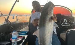 Konyaaltı Sahili'nde 56 kilogramlık kuzu balığı şaşkınlığı