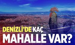Denizli’de kaç mahalle var? İşte şaşırtan istatistik