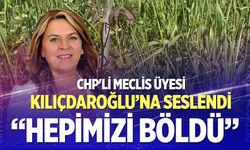 Chp'li Meclis Üyesi Dingil, Kılıçdaroğlu’na seslendi