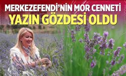 Lavanta Bahçesi Yoğun İlgi Görüyor
