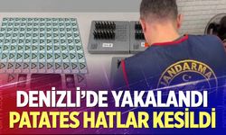 Denizli merkezli ‘Patates Hat' operasyonunda 186 hat ele geçirildi