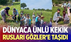 Dünyaca Ünlü Kekik Rusları Gözler’e Taşıdı
