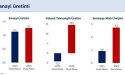 "Sanayi üretimi nisanda yıllık yüzde 6 arttı"