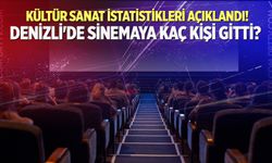 Denizli'de 2025 yılında kaç kişi sinemaya gitti?