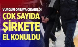 Çok sayıda şirkete el konuldu