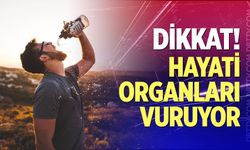 Dikkat! Hayati organları vuruyor