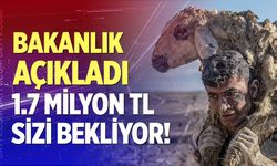 Tarladan kadraja uzanan yolculuk; Son başvuru 31 ağustos