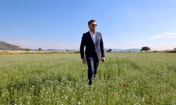 Tavas’ta karacaot ekiminde verimlilik testi yapılıyor