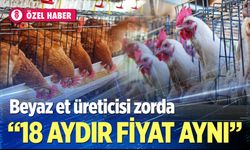 İhracat kısıtlaması beyaz et üreticisini zorluyor; Fiyatlar 18 aydır aynı…