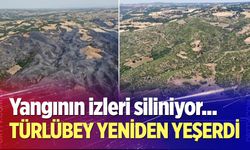 Türlübey yeniden yeşerdi