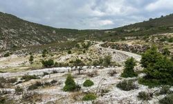Uşak’ın yüksek kesimlerinde dolu yağışı etkili oldu