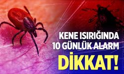 Uzmanından kene tutunmasında ’10 gün’ uyarısı