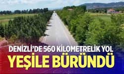 Denizli’de 560 kilometrelik yol yeşile büründü
