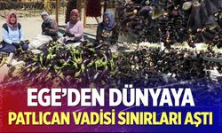 Patlıcan vadisi sınırları aştı