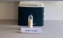 5 milyon dolarlık akrep zehri yakalandı