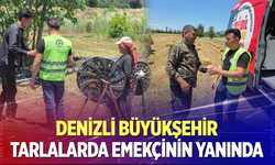 Denizli Büyükşehir tarlalarda emekçinin yanında