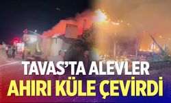 Tavas'ta alevler ahırı küle çevirdi