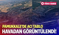 Pamukkale orman yangınında büyük mücadele: Alevlerin önü kesildi!