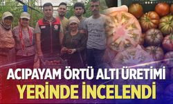 Acıpayam örtü altı üretimi yerinde incelendi