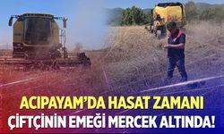Acıpayam'da hasat sezonu başladı