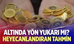 Altında heyecanlandıran tahmin