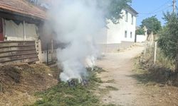 Anız ateşi felakete dönüşmeden söndürüldü