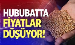 Hububatta fiyatlar düşüyor! Başkan Gemici rakamları verdi…