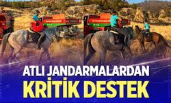 Atlı jandarmalar yangın bölgesine hortum taşıdı